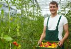 Apply Now for Farm Employment Opportunities in the USA with Visa Support.
