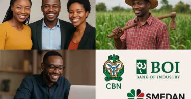 Nigerian Government Grants and Funding Programs