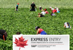 Express Entry Canada
