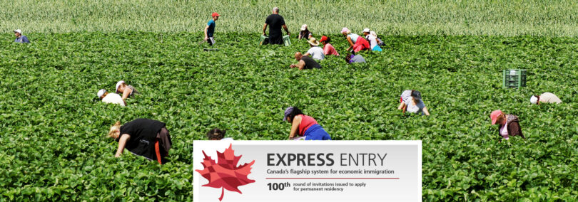 Express Entry Canada